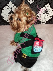 Súprava s ruksakom - oblečenie a móda pre psov