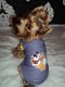 Tričko Mickey Mouse - oblečenie a móda pre psov