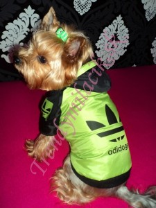 Jarná bundička ADIDOGS GREEN - oblečenie a móda pre psov