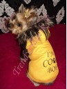 Zimná bundička I´M COOL BOY - oblečenie a móda pre psov