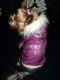 Zimná bundička I´M PERFECT GIRL - oblečenie a móda pre psov 