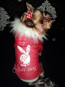 Zimná bundička PLAY DOG - oblečnie a móda pre psov