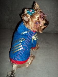 Mikina Adidogs Royal Blue - oblečenie a móda pre psov