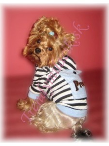 Mikina s vreckom - oblečenie a móda pre psov