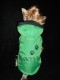 Jarná bunda s menom psíka I - oblečenie a móda pre psov