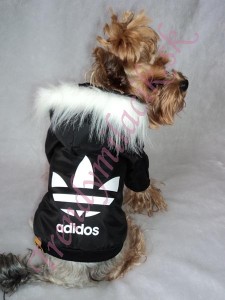 Zimná štýlová bundička ADIDOS - oblečenie a móda pre psov