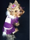 Velúrová súprava LILA - oblečenie a móda pre psov