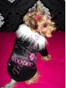 Bundička s menom psíka - oblečenie a móda pre psov