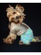 Šortky FLOWER - oblečenie a móda pre psov
