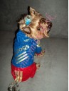 Velúrová súprava Adidogs Blue & Red - oblečenie a móda pre psov