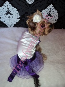 Luxusné šaty Glamour - oblečenie a móda pre psov