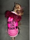 Zimná bunda Preety in pink - oblečenie a móda pre psov