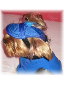 Šiltovka BLUE - oblečenie a móda pre psov