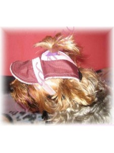 Šiltovka BROWN - oblečenie a móda pre psov